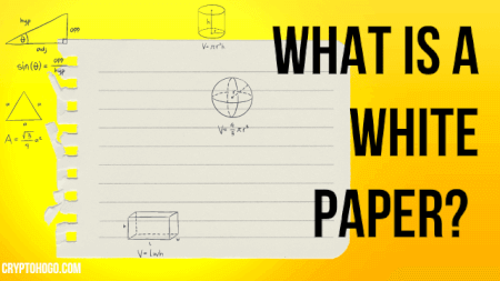 What is a white paper?